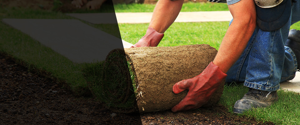 Zionsville Landscapers